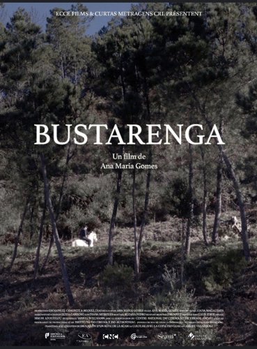 Affiche de Bustarenga