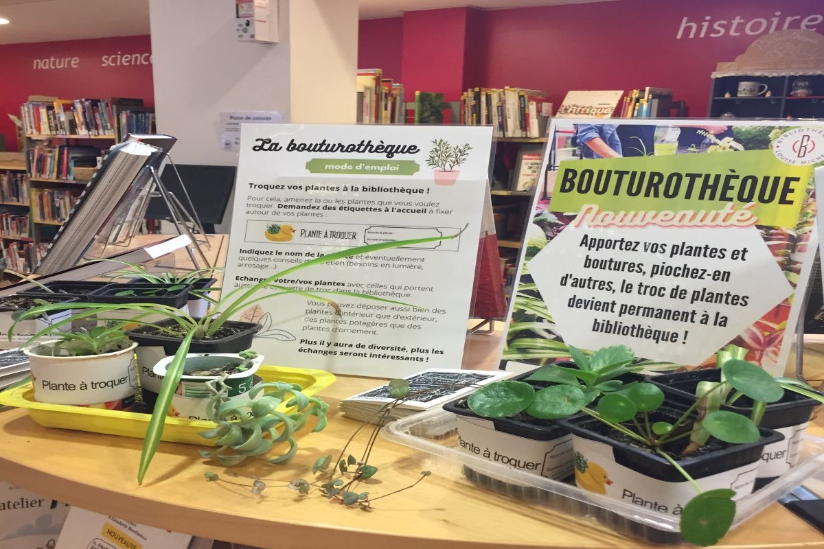Bouturothèque : dispositif de troc de plantes en bibliothèque