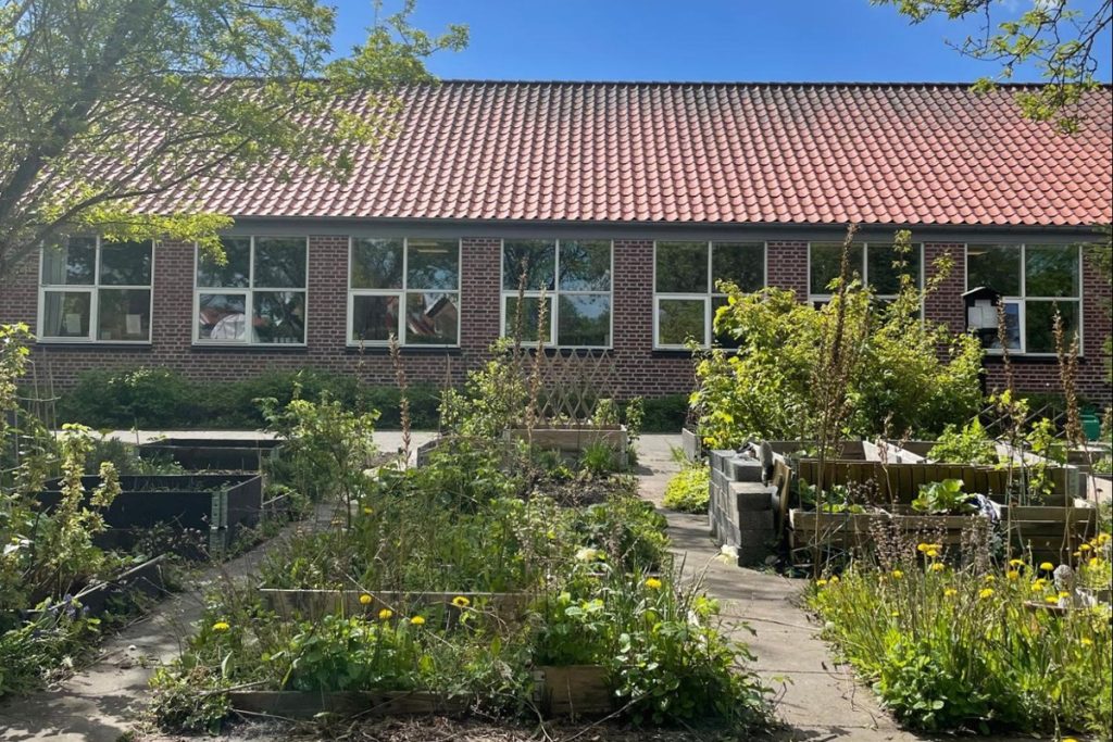 Jardin potager en plein air attenant à la bibliothèque. Des bacs de culture surélevés en bois accueillent diverses plantes et fleurs, dont des pissenlits. En arrière-plan, un bâtiment en briques rouges avec de larges fenêtres, sous un ciel bleu ensoleillé.