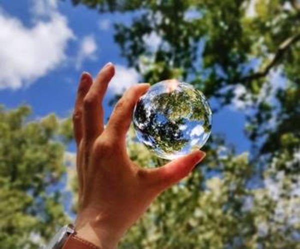 Photographie d'un arbre avec une bulle devant