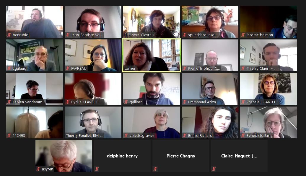 Capture d'écran des membres du conseil de coopération en visio