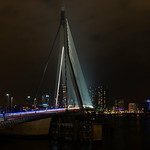 Pont Érasme à Rotterdam - Vue nocturne