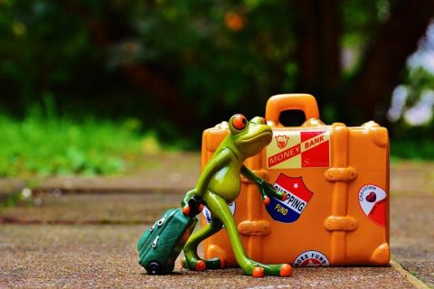 Une grenouille miniature tire une valise en traversant la route, on voit en arrière-plan une grande valise orange avec l'étiquette "money bank".