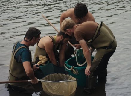 Quatre hommes, dans une rivière, observent le contenu de plusieurs épuisettes.
